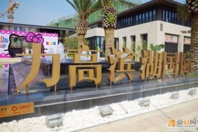 力高濱湖國(guó)際